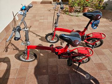 Bicicletta pieghevole