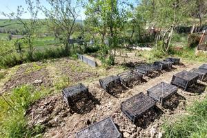 Agricolo a Asciano