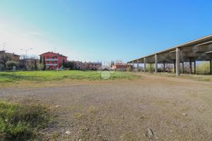 TERRENO A SAVIGNANO SUL PANARO