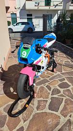 Ohvale gp2 190 race 2025