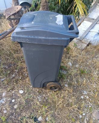 Bidoni spazzatura 120L