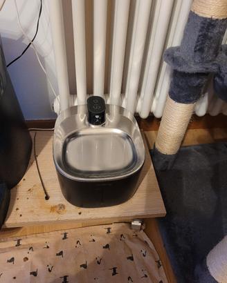 fontana + cibo automatico