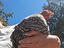 Immagine 6
