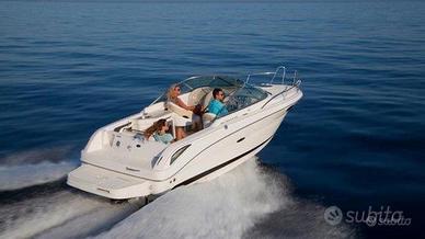 Barca a motore SEA RAY WEEKENDER 235