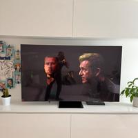 Samsung TV Oled QE65S95CAT