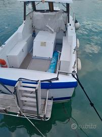 barca a motore semicabinata 
