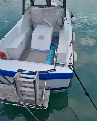 barca a motore semicabinata 