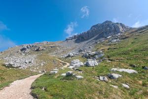Val di Fiemme - DISPONIBILITÀ ESTATE