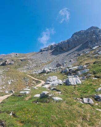 Val di Fiemme - DISPONIBILITÀ ESTATE