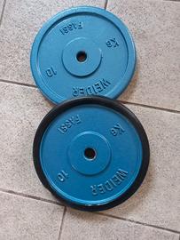 Due pesi 10 kg weider fassi
