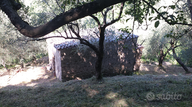 Casale con terreno