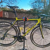 FOCUS CAYO TAGLIA 56