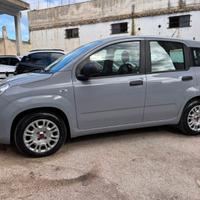 FIAT Panda 3ª serie Panda 1.0 FireFly S&S Hybrid