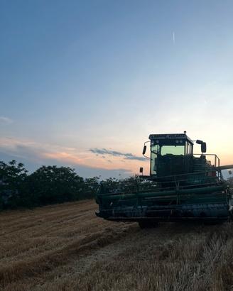 Mietitrebbia arbos 200