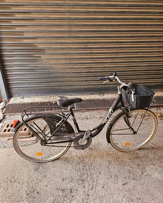 Bici da passeggio 