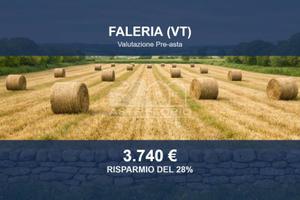 Immobile in asta di 4540 m² a Faleria