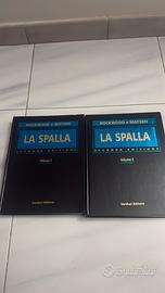 “La spalla” Rockwood E Matsen Vol. 2