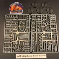 Cavalieri Grigi x5 Terminator Space Marines 40k