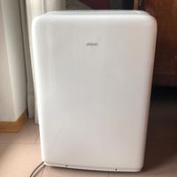 Condizionatore portatile