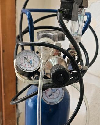 co2 per acquario 