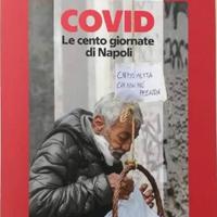 COVID, le cento giornate di Napoli la Repubblica