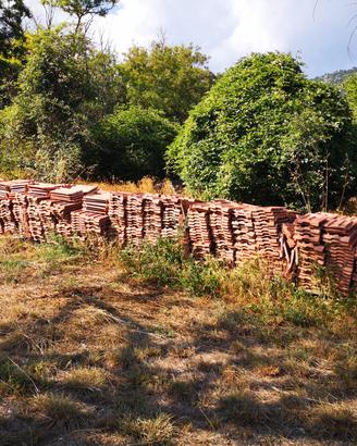  Tegola marsigliese 
