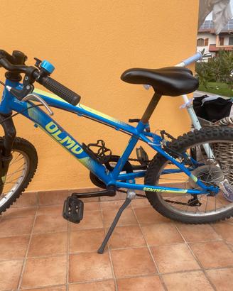 Bici Olmo