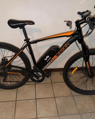 Bici elettrica 