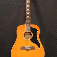 Chitarra acustica Eko Ranger 12 Corde amplificata