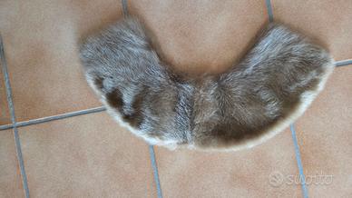 Collo visone