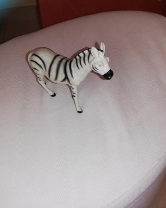 Animali