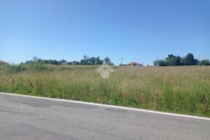 TER. AGRICOLO A SAN CARLO CANAVESE