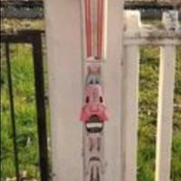 sci dynastar serie outland