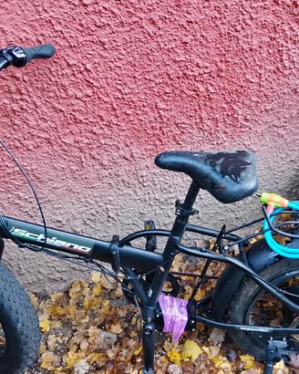 bici elettrica 