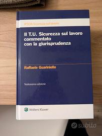 il Testo Unico Sicurezza sul lavoro commentato