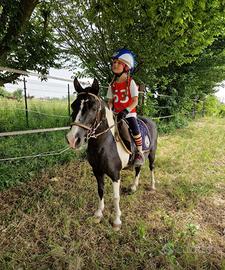Pony