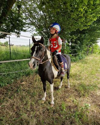 Pony