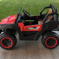 Fuoristrada elettrico telecomandabile.