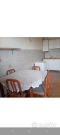 Bilocale con grande terrazzo e 2 garage