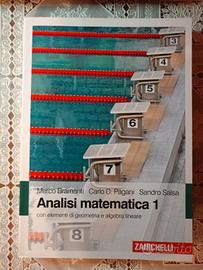 Analisi matematica 1 con elementi di geometria...