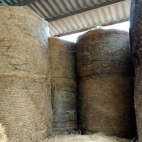 Diruzzaantonio21gmail.com