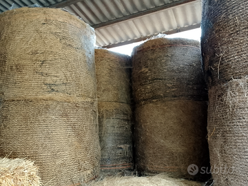 Diruzzaantonio21gmail.com