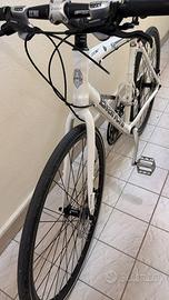Bicicletta Bianchi Camaleonte