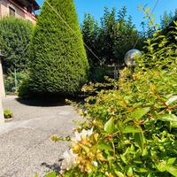 Intera casa con 2 unità pochisssimi km da modena