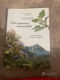 Erbe spontanee commestibili