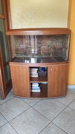 Acquario Cayman da 300 litri
