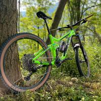 Bici da enduro giant