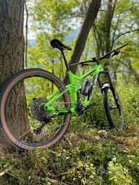 Bici da enduro giant