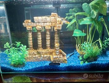 Acquario con pesci guppy e accessori
