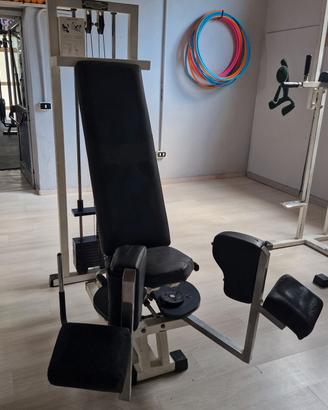 adductor  machine technogym 